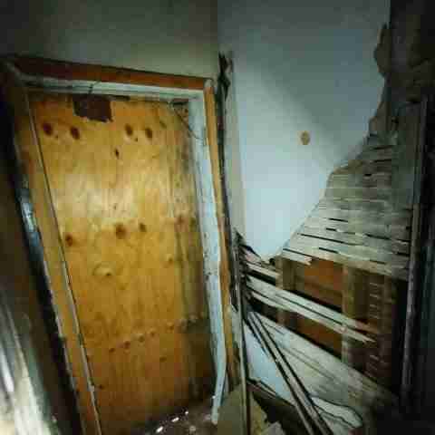 8031 conger (25).jpg